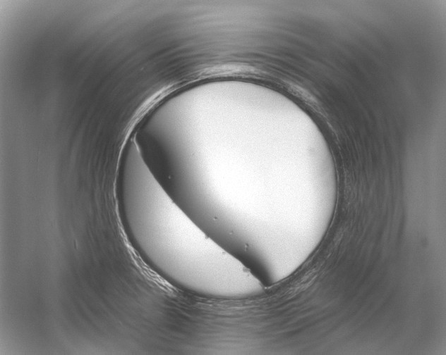 X0000060801330200512011722