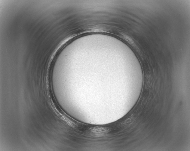 X0000060801331200512011722