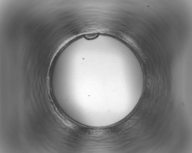 X0000060801332200512011722