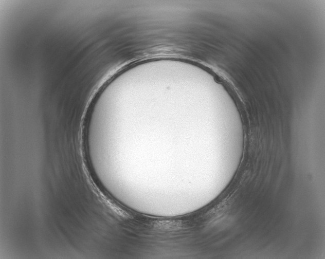 X0000060801333200512011722