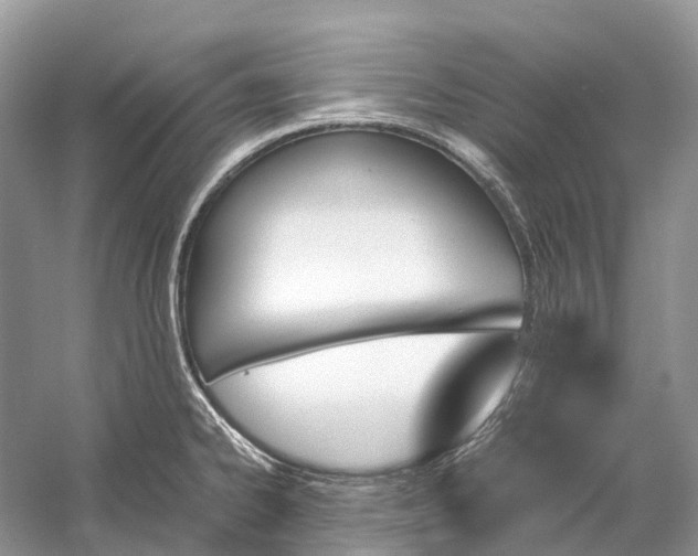 X0000060801334200512011722