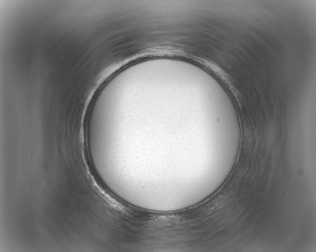 X0000060801335200512011722