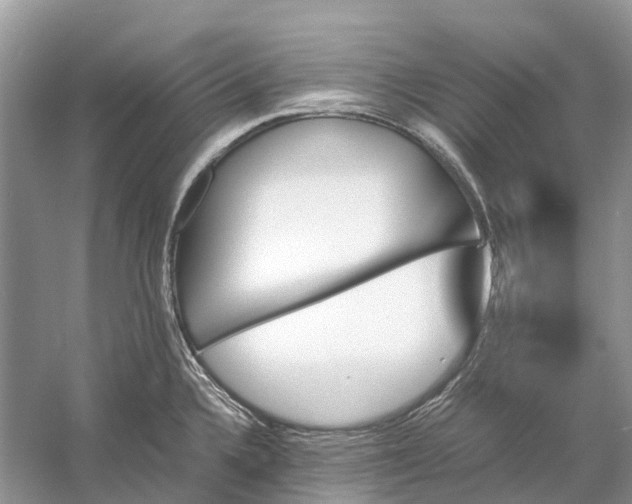 X0000060801336200512011722