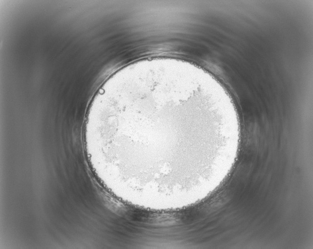 X0000060801338200512011722