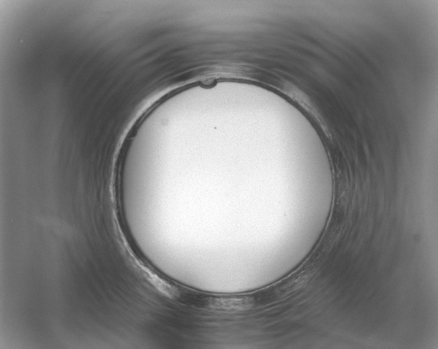 X0000060801339200512011723