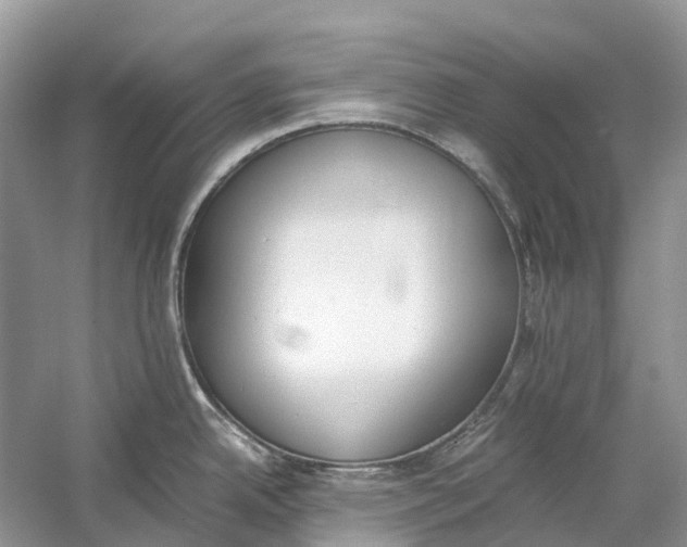 X0000060801342200512011723