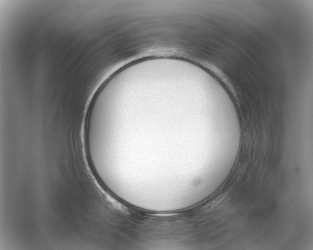 X0000060801343200512011723