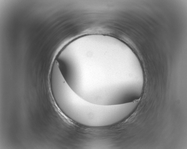 X0000060801344200512011723