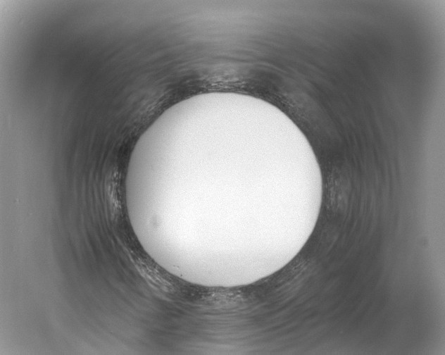 X0000060801346200512011722