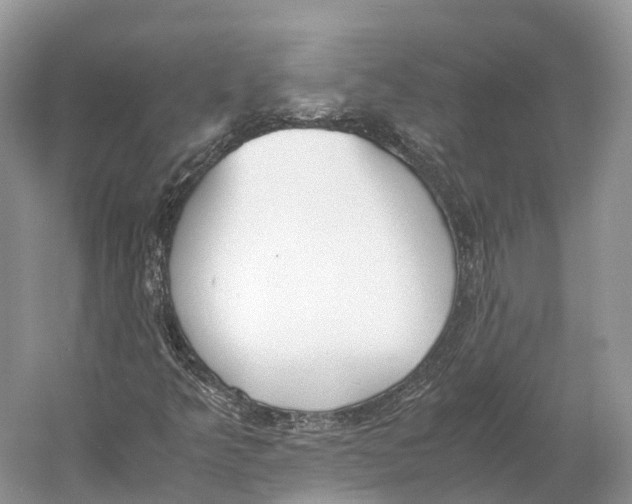 X0000060801349200512011722