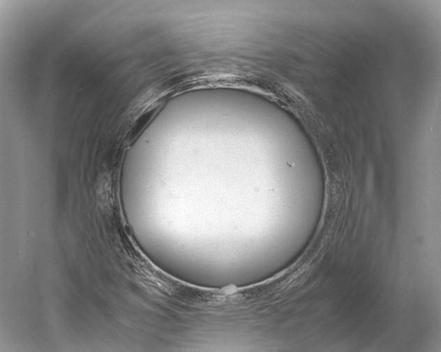 X0000060801353200512011722