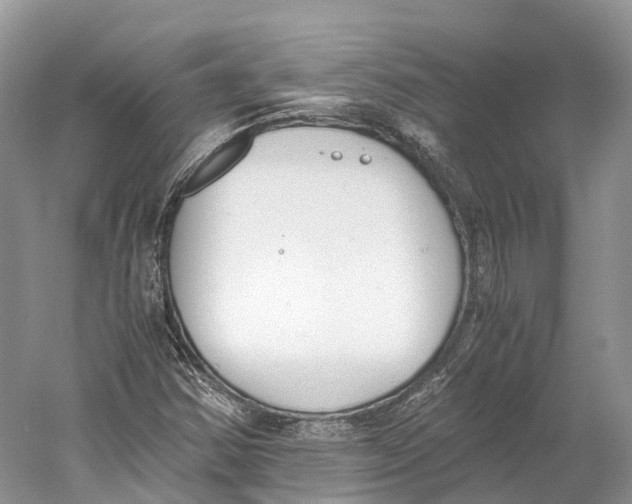 X0000060801354200512011722