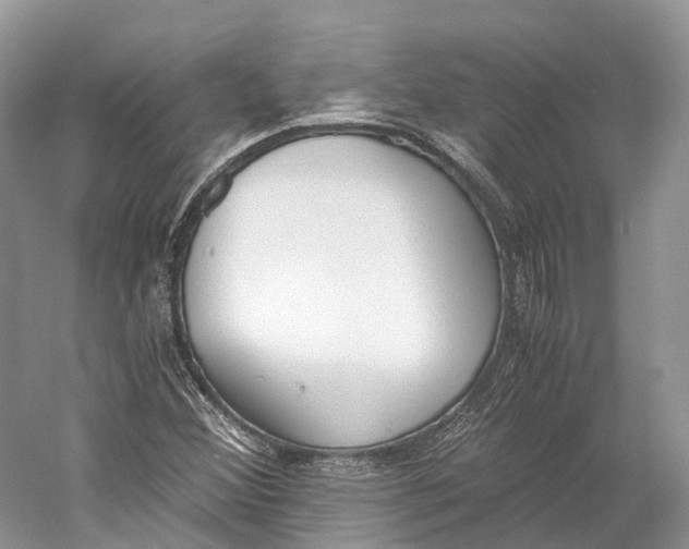 X0000060801356200512011722