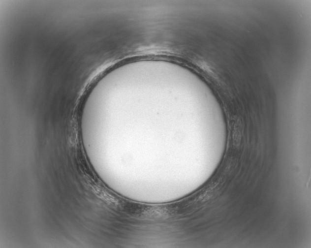 X0000060801358200512011722