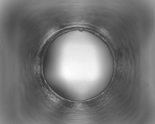 X0000060801360200512011721