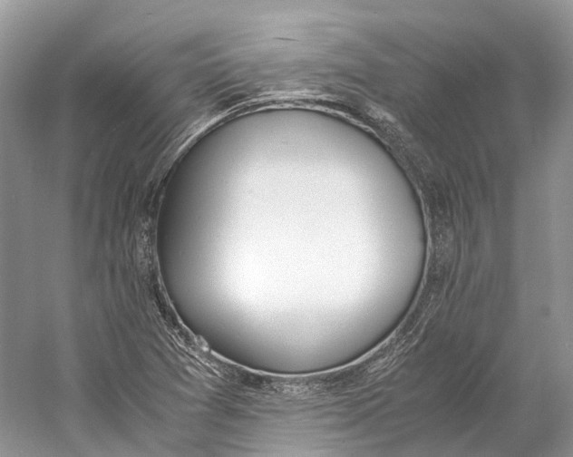 X0000060801361200512011721