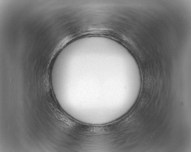 X0000060801362200512011721