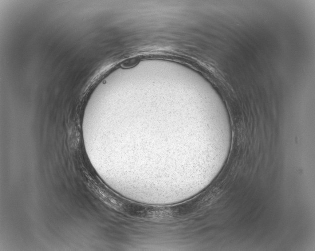 X0000060801363200512011721