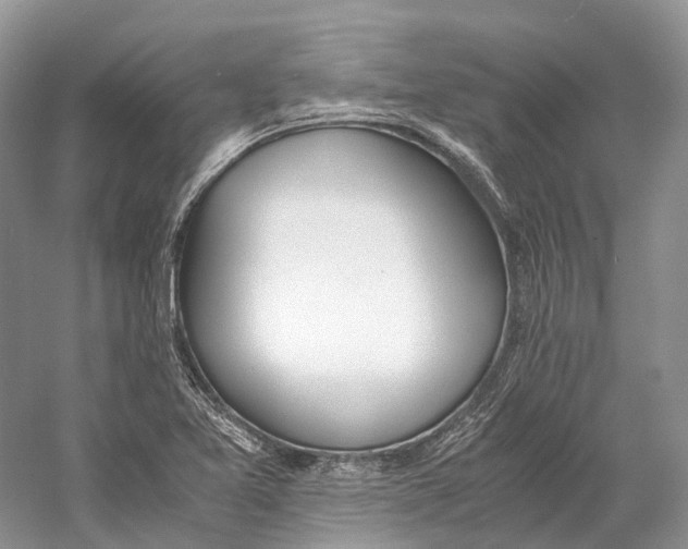 X0000060801365200512011721