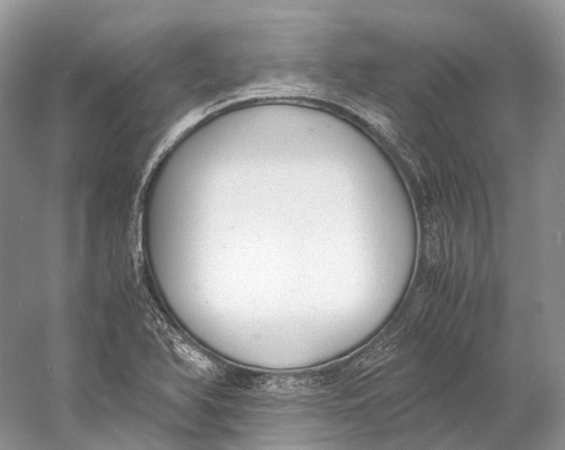 X0000060801366200512011721