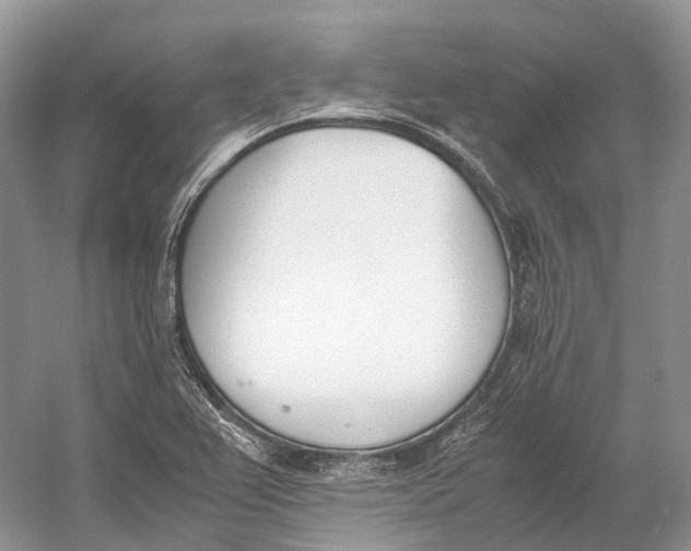 X0000060801367200512011721