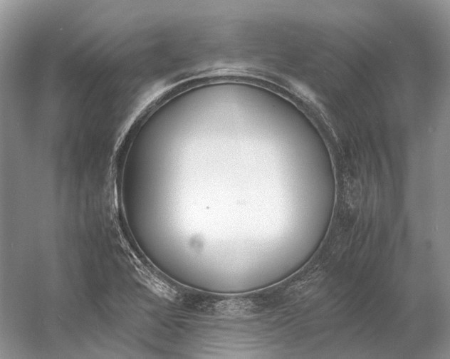 X0000060801368200512011721