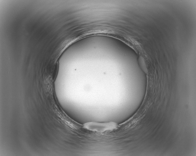 X0000060801369200512011721