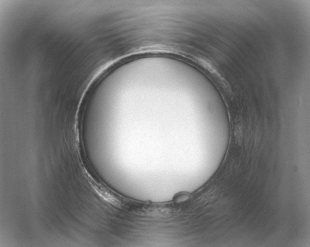 X0000060801372200512011721