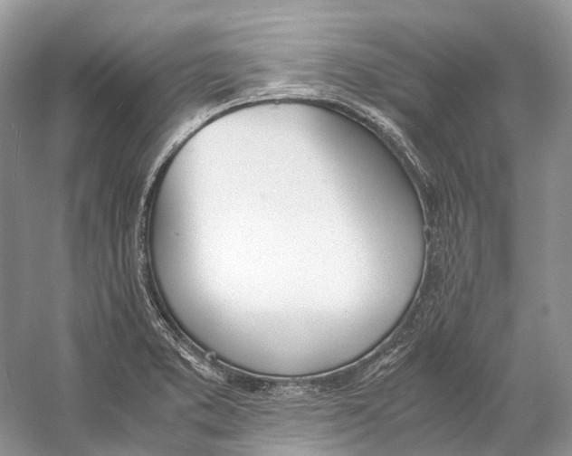 X0000060801373200512011721