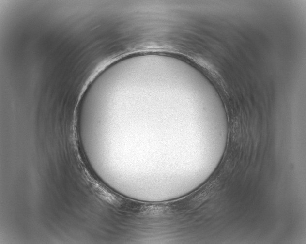 X0000060801374200512011721