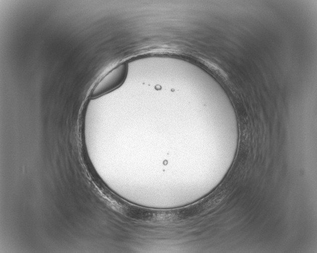 X0000060801375200512011721