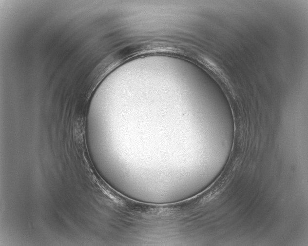 X0000060801377200512011721