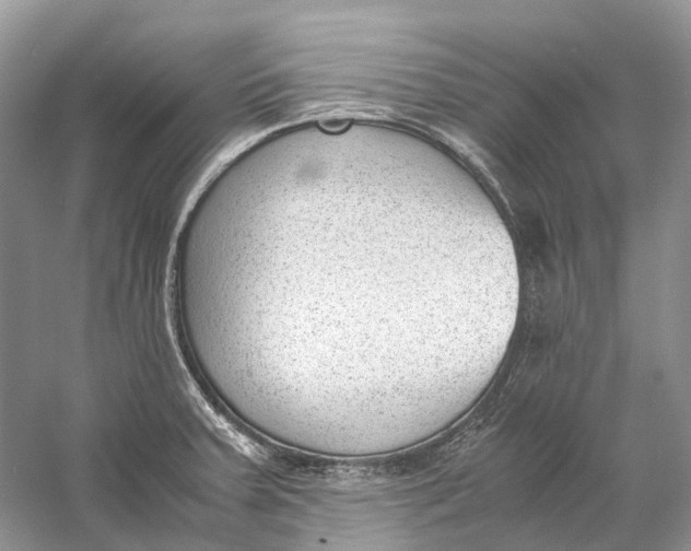 X0000060801379200512011721