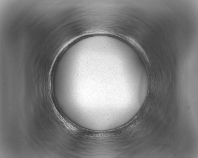 X0000060801380200512011721