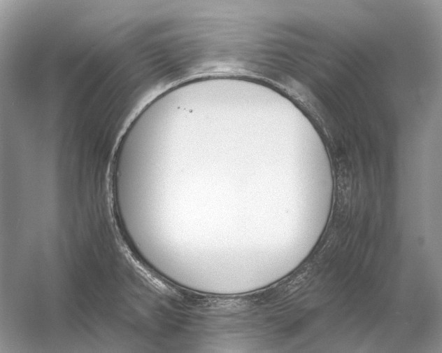 X0000060801382200512011721