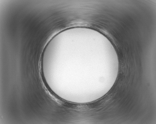 X0000060801383200512011721