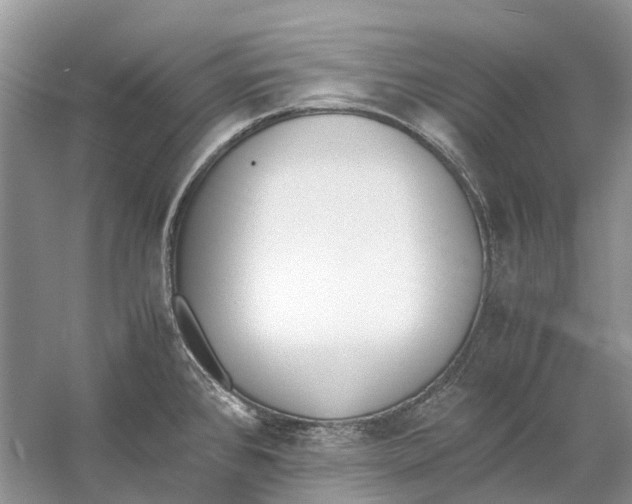 X0000060801384200512011721