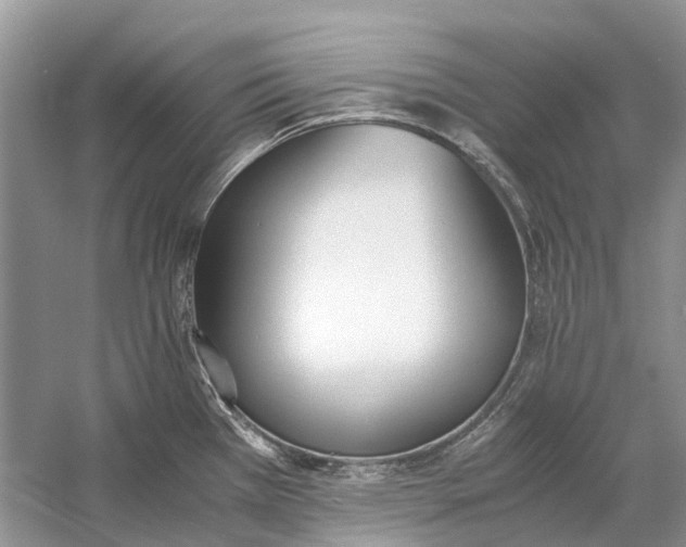 X0000060801385200512011721