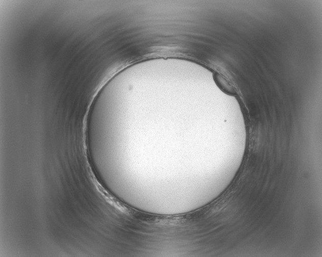 X0000060801386200512011721