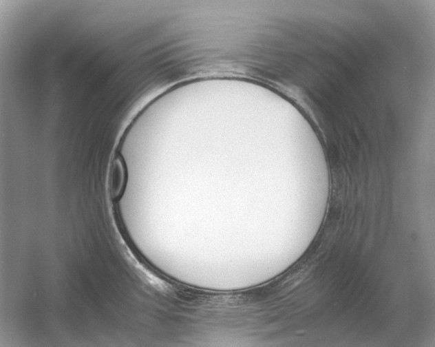 X0000060801387200512011721