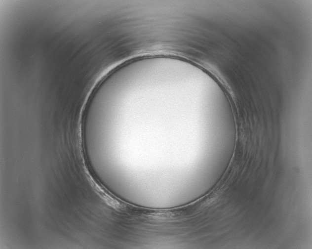 X0000060801388200512011721