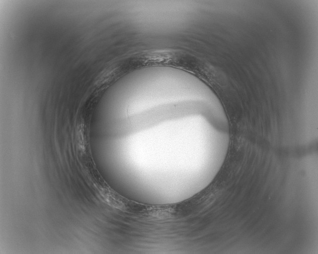 X0000060801394200512011720