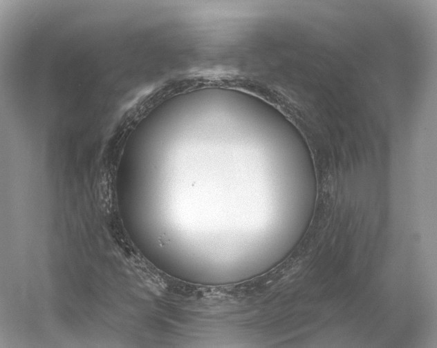 X0000060801398200512011720