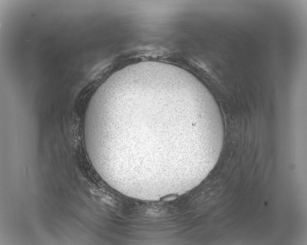 X0000060801399200512011720