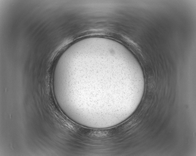 X0000060801411200512011720