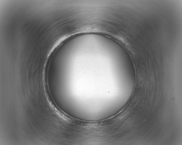 X0000060801422200512011721