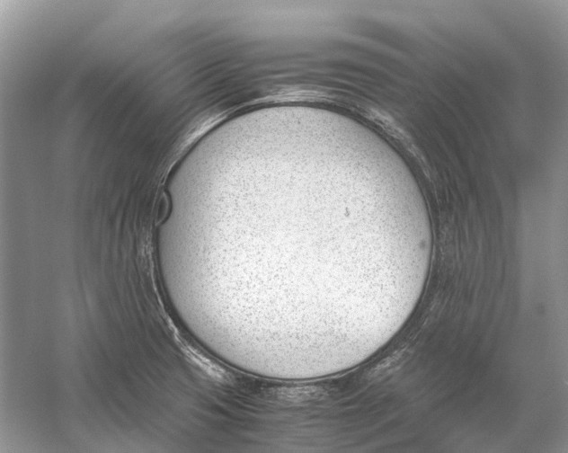 X0000060801425200512011721