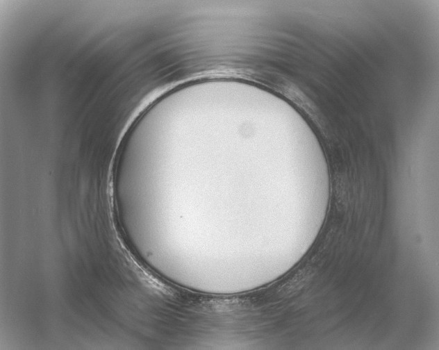 X0000060801428200512011721