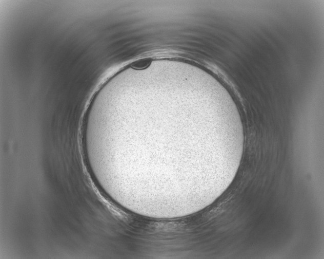 X0000060801429200512011721