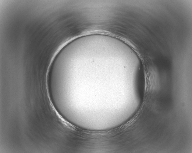 X0000060801430200512011721